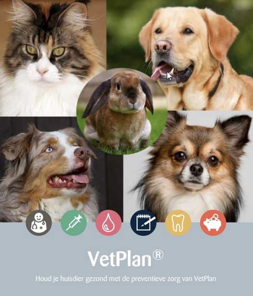 VetPlan