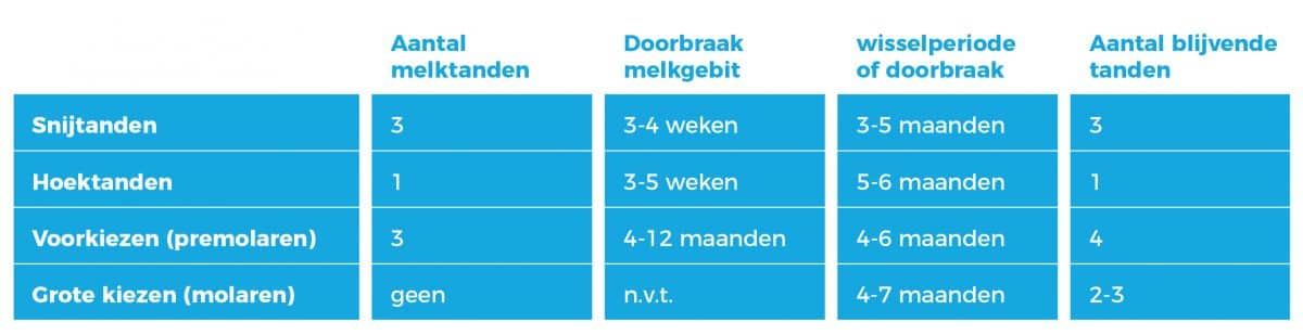 Schema tandenwissel